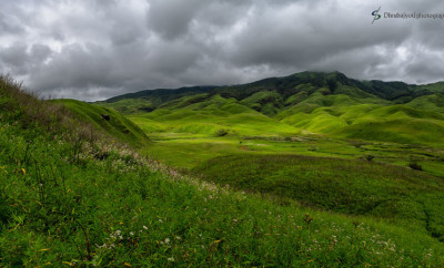 Dzukou Valley - The Valley of Flowers