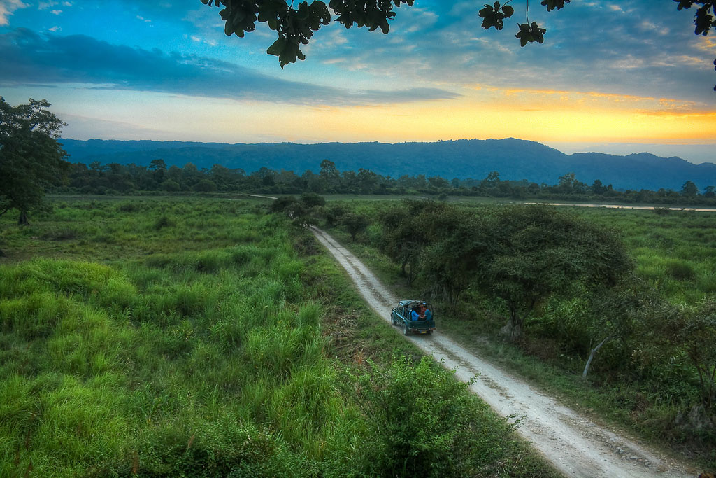 Kaziranga National Park : A rendezvous with the wild and beautiful